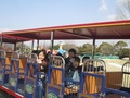IMG_6206.jpg