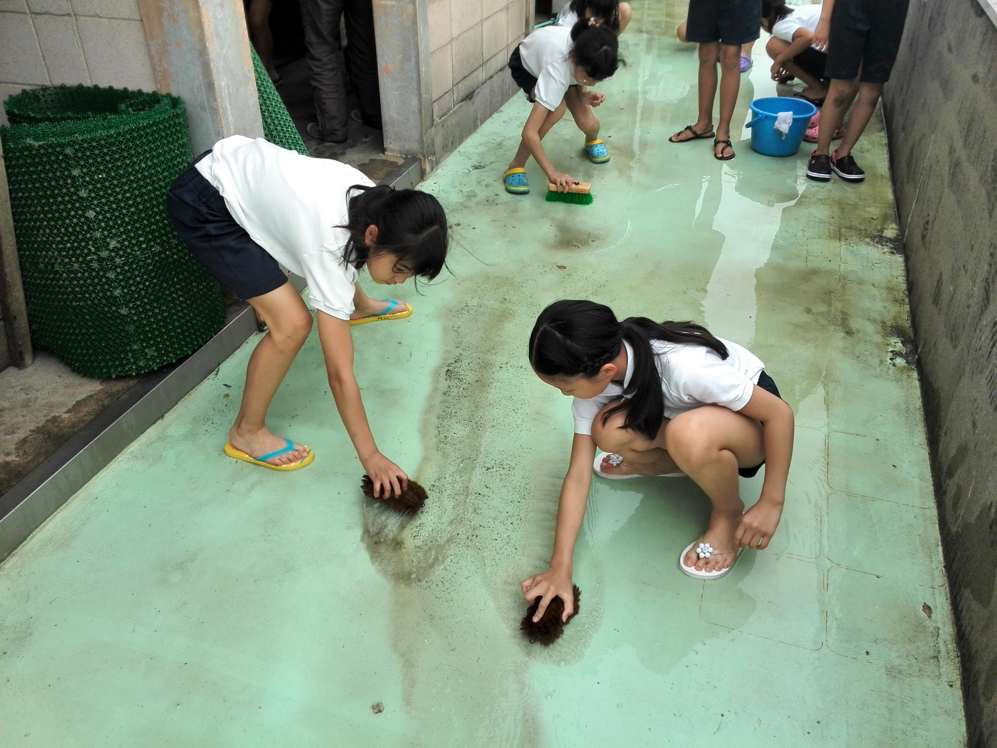 プール清掃 プール清掃 | 向日市立向陽小学校