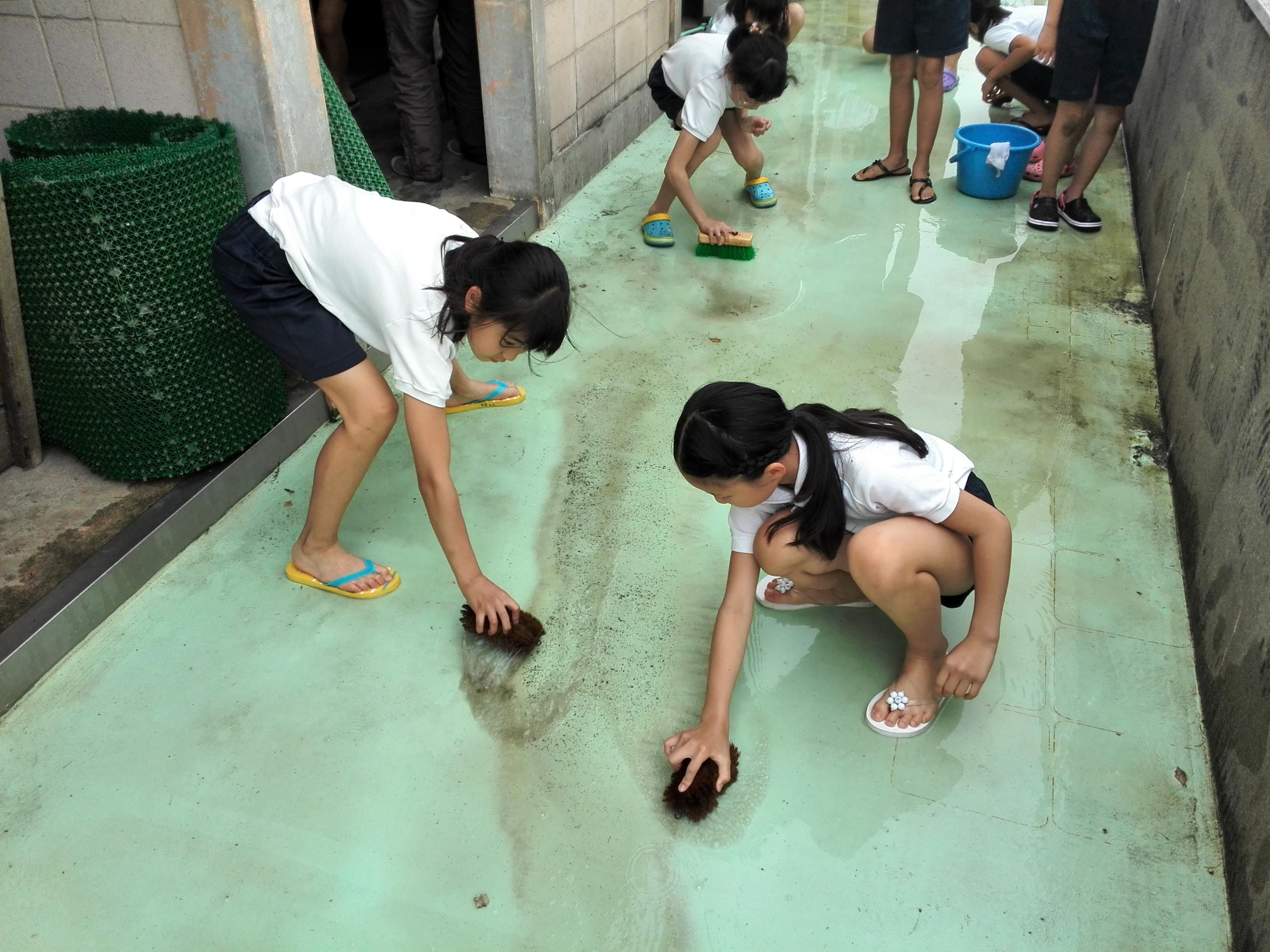 小学生掃除 体力テスト＆プール清掃: 愛知県高浜市立港小学校 しおかぜブログ